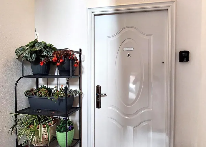 Apartman Milenka *