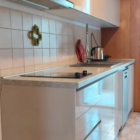 Apartment Milenka *
